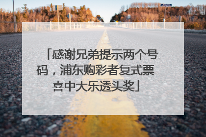 感谢兄弟提示两个号码，浦东购彩者复式票喜中大乐透头奖
