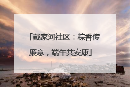 戴家河社区：粽香传廉意，端午共安康