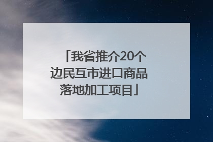 我省推介20个边民互市进口商品落地加工项目