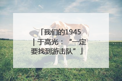 我们的1945｜于高光：“一定要找到游击队”