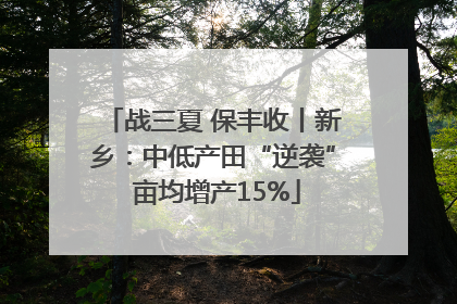 战三夏 保丰收丨新乡：中低产田“逆袭” 亩均增产15%