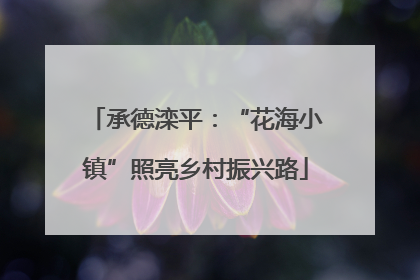 承德滦平：“花海小镇”照亮乡村振兴路