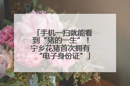 手机一扫就能看到“猪的一生”！宁乡花猪首次拥有“电子身份证”