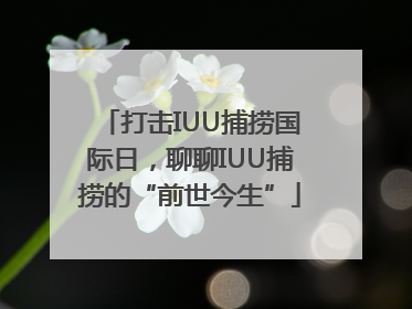 打击IUU捕捞国际日，聊聊IUU捕捞的“前世今生”