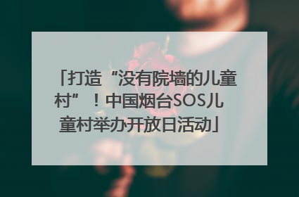 打造“没有院墙的儿童村”！中国烟台SOS儿童村举办开放日活动