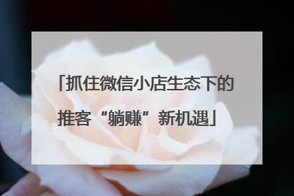 抓住微信小店生态下的推客“躺赚”新机遇