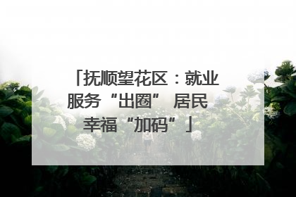 抚顺望花区：就业服务“出圈” 居民幸福“加码”