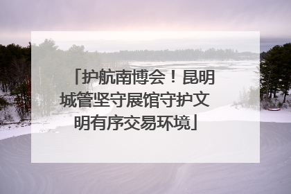 护航南博会！昆明城管坚守展馆守护文明有序交易环境