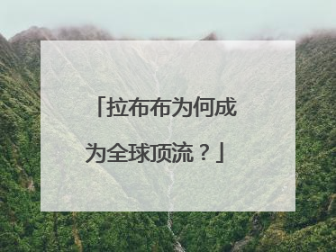 拉布布为何成为全球顶流？
