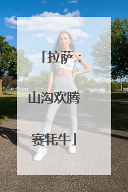 拉萨：山沟欢腾赛牦牛
