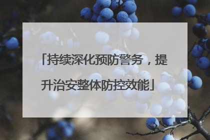 持续深化预防警务，提升治安整体防控效能