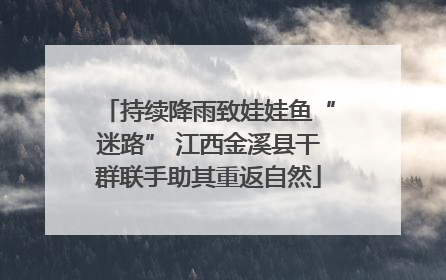 持续降雨致娃娃鱼“迷路” 江西金溪县干群联手助其重返自然