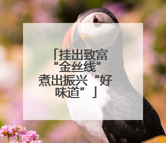 挂出致富 “金丝线” 煮出振兴“好味道”