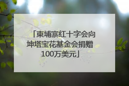 柬埔寨红十字会向坤塔宝花基金会捐赠100万美元