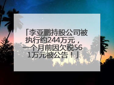 李亚鹏持股公司被执行约244万元，一个月前因欠税561万元被公告！
