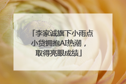 李家诚旗下小雨点小贷拥抱AI热潮，取得亮眼成绩