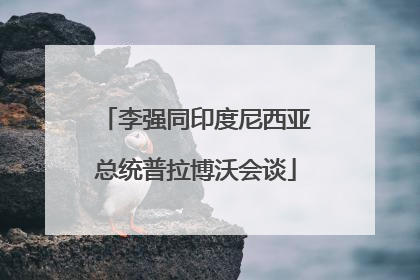 李强同印度尼西亚总统普拉博沃会谈