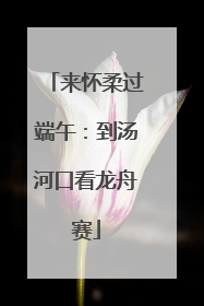 来怀柔过端午：到汤河口看龙舟赛