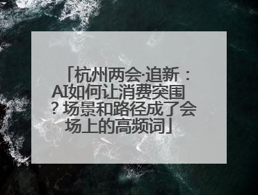 杭州两会·追新：AI如何让消费突围？场景和路径成了会场上的高频词