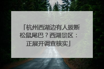 杭州西湖边有人拔断松鼠尾巴？西湖景区：正展开调查核实