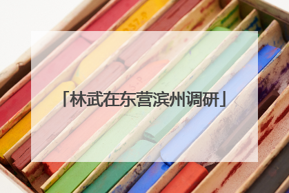 林武在东营滨州调研