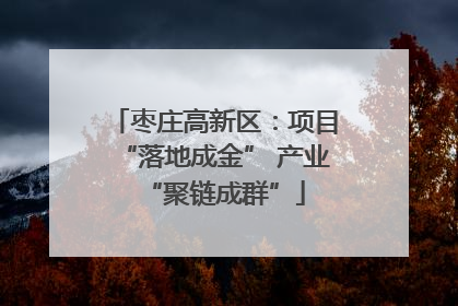 枣庄高新区：项目“落地成金” 产业“聚链成群”