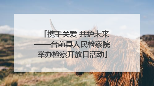 携手关爱 共护未来——台前县人民检察院举办检察开放日活动
