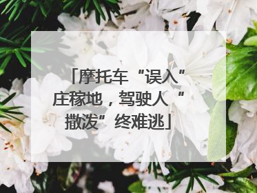 摩托车“误入”庄稼地，驾驶人“撒泼”终难逃