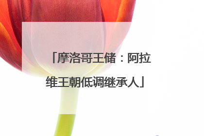 摩洛哥王储：阿拉维王朝低调继承人