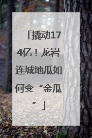 撬动174亿！龙岩连城地瓜如何变“金瓜”