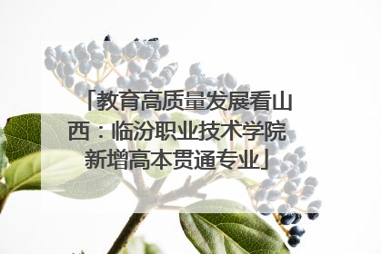 教育高质量发展看山西：临汾职业技术学院新增高本贯通专业
