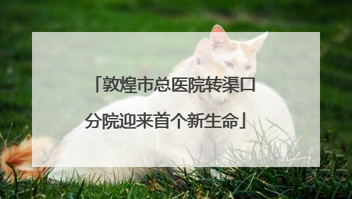 敦煌市总医院转渠口分院迎来首个新生命