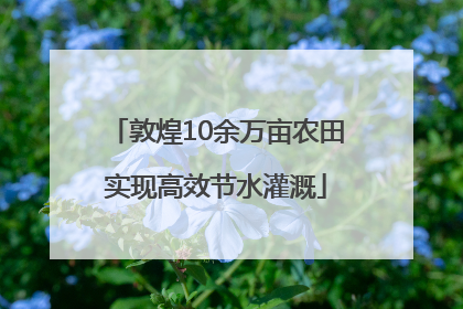 敦煌10余万亩农田实现高效节水灌溉