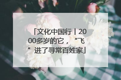 文化中国行丨2000多岁的它，“飞”进了寻常百姓家