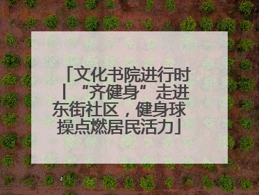 文化书院进行时丨“齐健身”走进东街社区，健身球操点燃居民活力