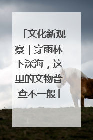 文化新观察｜穿雨林下深海，这里的文物普查不一般