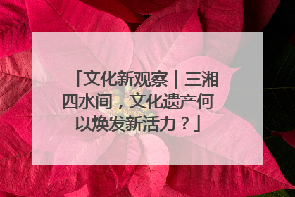 文化新观察｜三湘四水间，文化遗产何以焕发新活力？
