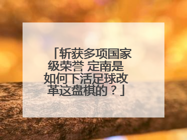 斩获多项国家级荣誉 定南是如何下活足球改革这盘棋的？
