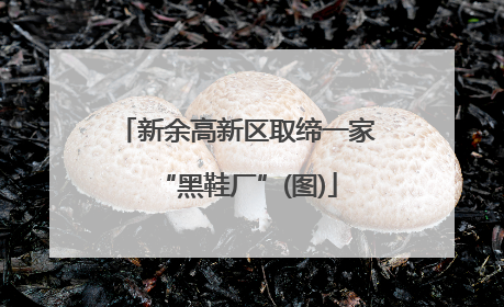 新余高新区取缔一家“黑鞋厂”(图)