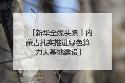 新华全媒头条丨内蒙古扎实推进绿色算力大基地建设
