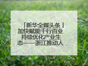 新华全媒头条丨加快赋能千行百业 持续优化产业生态——浙江推动人工智能健康有序发展观察