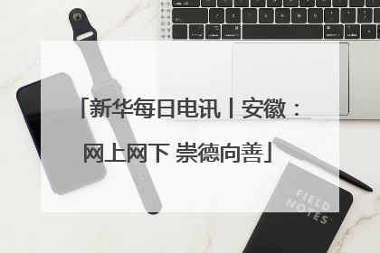 新华每日电讯丨安徽：网上网下 崇德向善