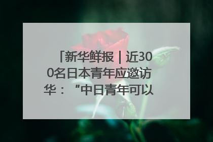 新华鲜报｜近300名日本青年应邀访华：“中日青年可以创造更好的未来”