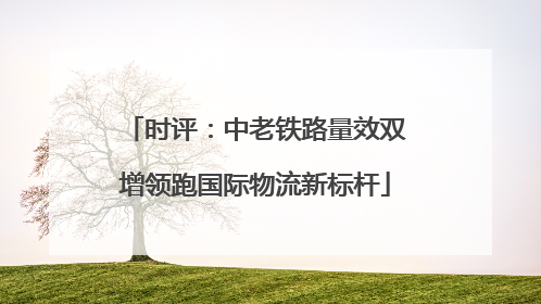 时评：中老铁路量效双增领跑国际物流新标杆