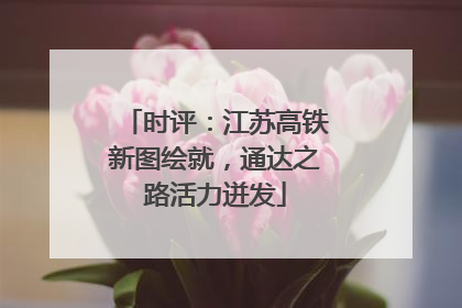 时评：江苏高铁新图绘就，通达之路活力迸发