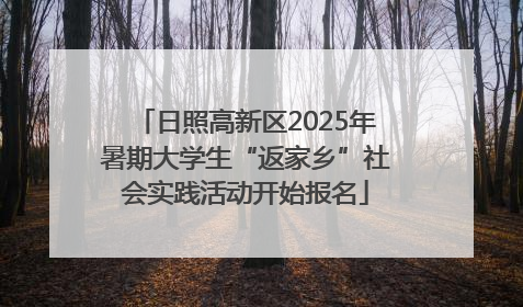 日照高新区2025年暑期大学生“返家乡”社会实践活动开始报名