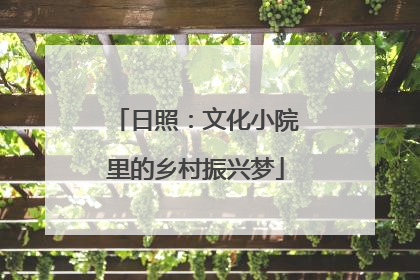 日照：文化小院里的乡村振兴梦