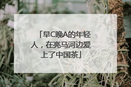 早C晚A的年轻人，在亮马河边爱上了中国茶