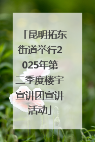 昆明拓东街道举行2025年第二季度楼宇宣讲团宣讲活动