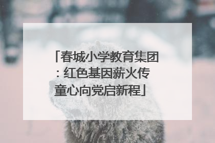 春城小学教育集团：红色基因薪火传 童心向党启新程